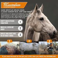 MAXIMILIAN World Class Handmade Equine Stiff Body Horse Brush. Professional Equine Grooming Tools. Effortlessly Removes Mud, Sweat and Dirt from Your Horses Hair.