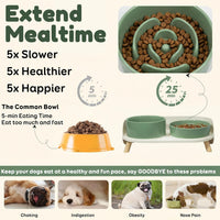 Elevated Slow Feeder Dog Bowls with Splash Proof Stand - Medium / Green - image 2