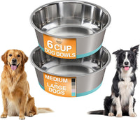 Neater Pet Brands Stainless Steel Dog Bowls with Non-Slip Rubber - 6 Cup (Set of 2) / Teal