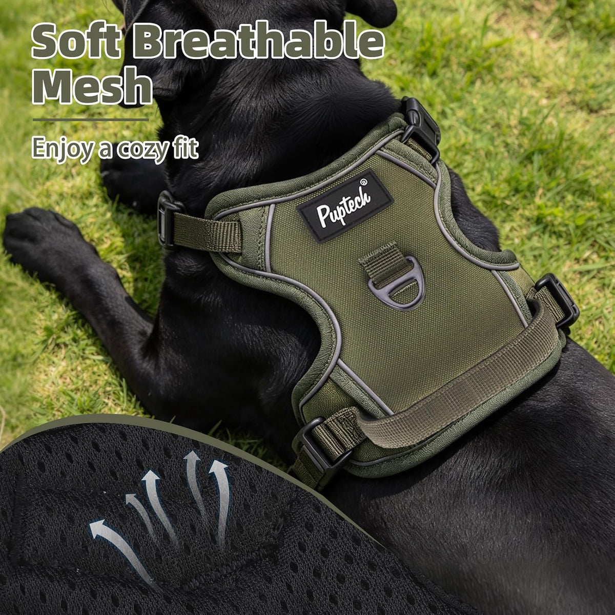 PUPTECK No Pull Halloween Dog Harness for Large - Green / Large / Harness Only - image 4
