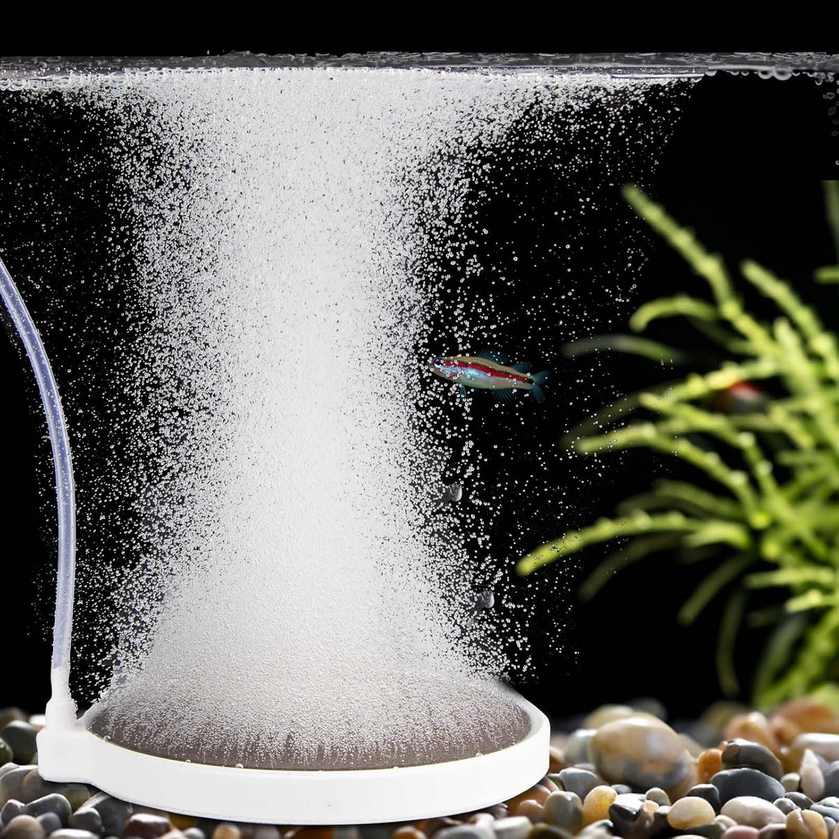 Fish Tank Bubbler, 3.2 Inch Aquarium Air Stone Kit, Nano Quiet Oxygen Diffuser for 20-70 Gallon - 6 Inch, for 100-150 Gal
