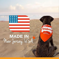 Nylabone Nutri Dent Dog Dental Treats - Natural Dog Teeth Cleaning & Breath Freshener - Dental Treats for Dogs - Filet Mignon Flavor, Mini (78 Count)
