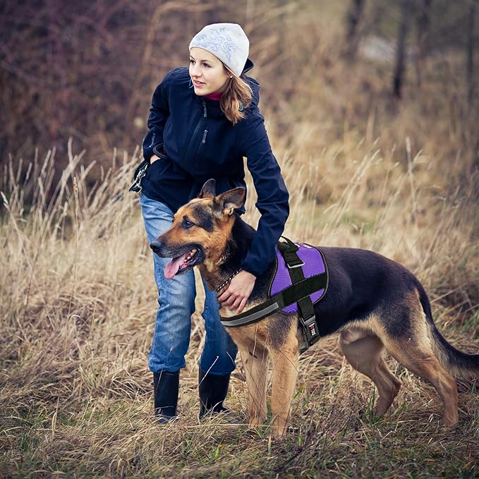 Dogline Dog Harness, Reflective No-Pull Adjustable Vest with Handle, Breathable No-Choke Harness for Small, Medium or Large Dogs Room for Patches Girth 18 to 24 in Purple
