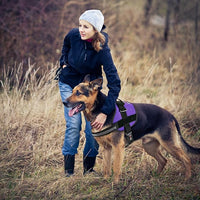 Dogline Dog Harness, Reflective No-Pull Adjustable Vest with Handle for Walking, Training, Breathable, No - Choke Harness for Small, Medium or Large Dogs Room for Patches Girth 22"-28" in Purple