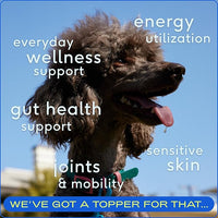 Native Pet Pack Leaders Bundle - Daily Dog Multivitamin (7 oz.) & Omega Oil for Dogs (8 oz.) - Omega 3 Fish Oil for Healthy Skin, Shiny Coat, & Strong Joints & Daily Multivitamin for Dogs