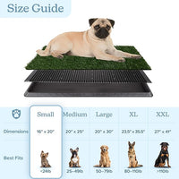Artificial Grass Puppy Pee Pad for Dogs and Small Pets - 16x20 Reusable 3-Layer Training Potty Pad with Tray - Dog Housebreaking Supplies by PETMAKER