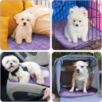 4 Pack Self Heating Cat Pad Self Warming Dog Mat - 16 x 20 Inch / Purple - image 4