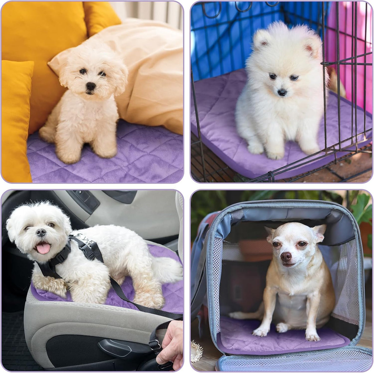 4 Pack Self Heating Cat Pad Self Warming Dog Mat - 16 x 20 Inch / Purple - image 4