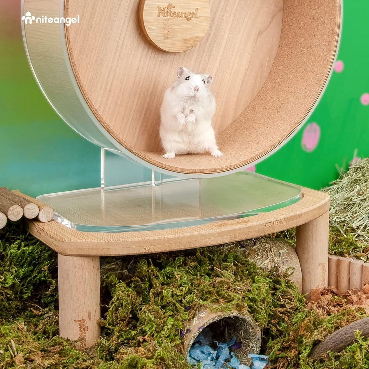 Niteangel Anti-Slide Hamster Wheel Platform: Medium Size & Elevates - Small - image 4