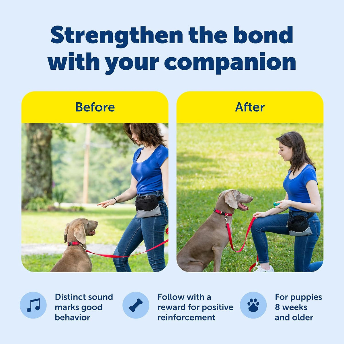PetSafe Clik-R Dog Training Clicker - Blue - image 3