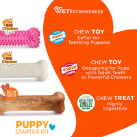 Nylabone Puppy Pacifier Chew Toy - Pink / Small - image 4