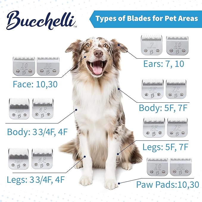 Detachable A Series 10 Blade Dog Grooming Cut Length 1/16" / 1.5mm Japanese Carbonized Steel Dog Grooming Blades 10 (Compatible A5 Series Clippers for Dogs Horses(B10)