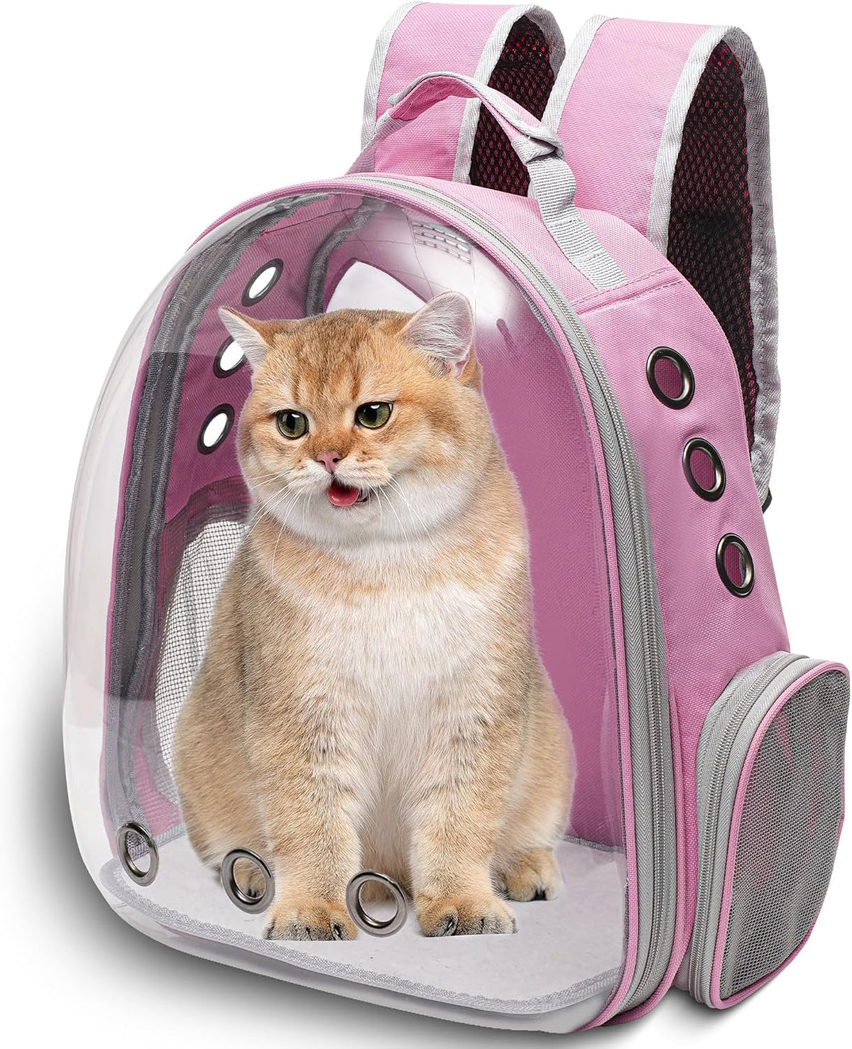 Vivicreate Large Cat Backpack Carrier for Travel and Hiking