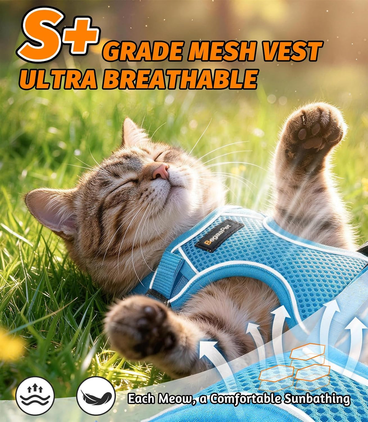 Cat Harness and Leash for Walking - Sky Blue / S (7-12lb) - image 3