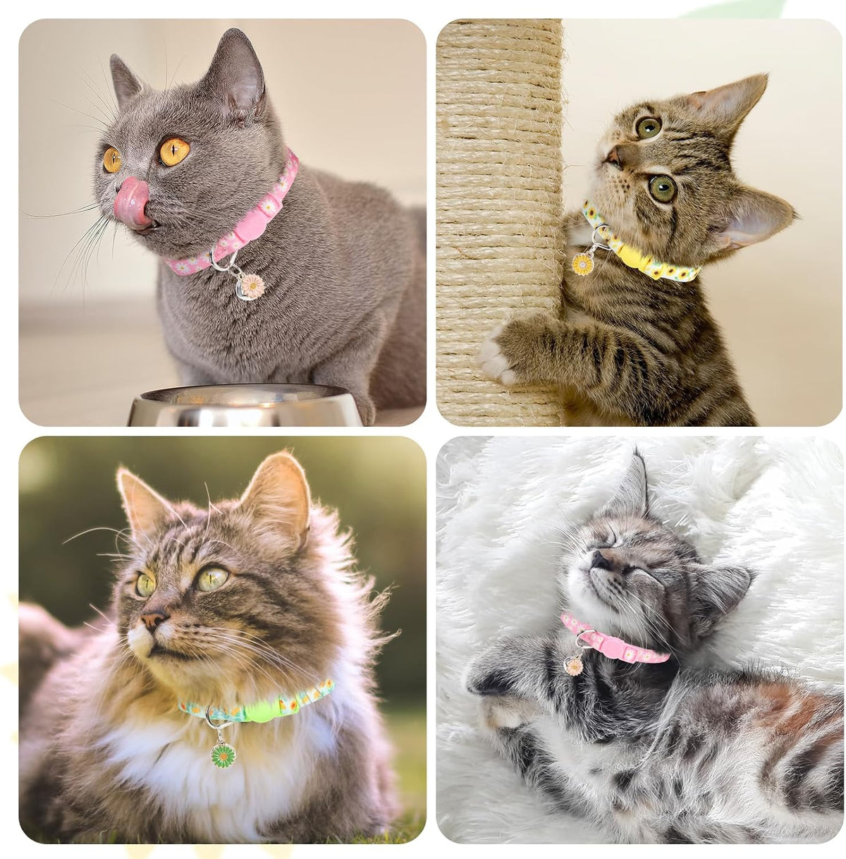 Cat Collar Breakaway, Soft Kitten Collar with Bell, Daisy - Spring Flower (Pack of 3) - image 2