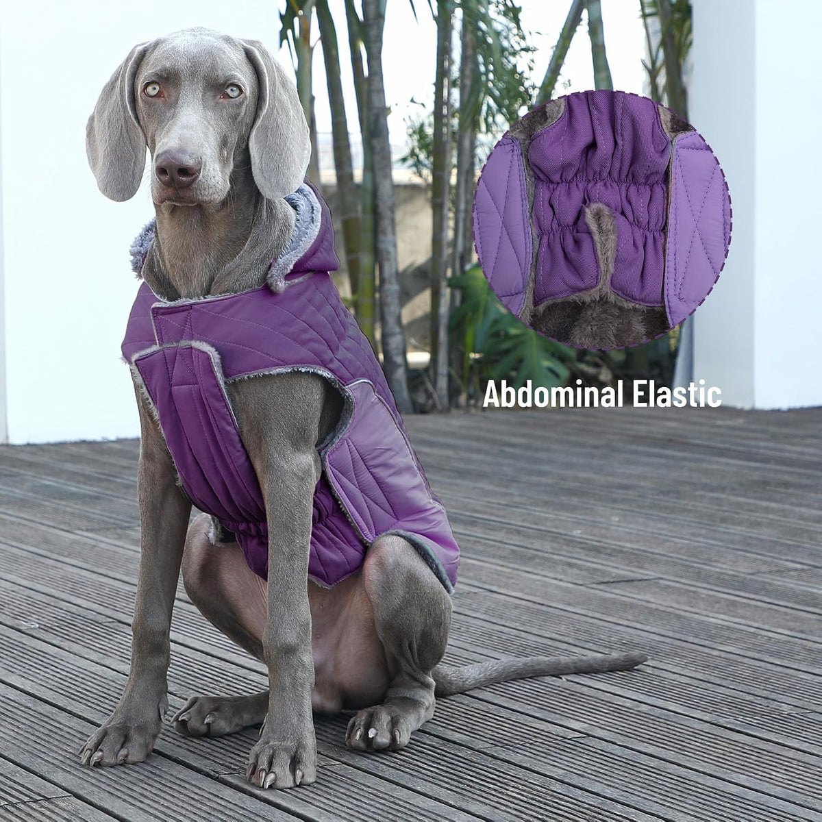 Warm Fleece Dog Hoodie for Small Dogs, Winter Puppy Coats - Purple / Small - image 4