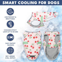 Spark Paws Dog Cooling Vest, Evaporative Summer Cooling - Cherries / XX-Large - image 4