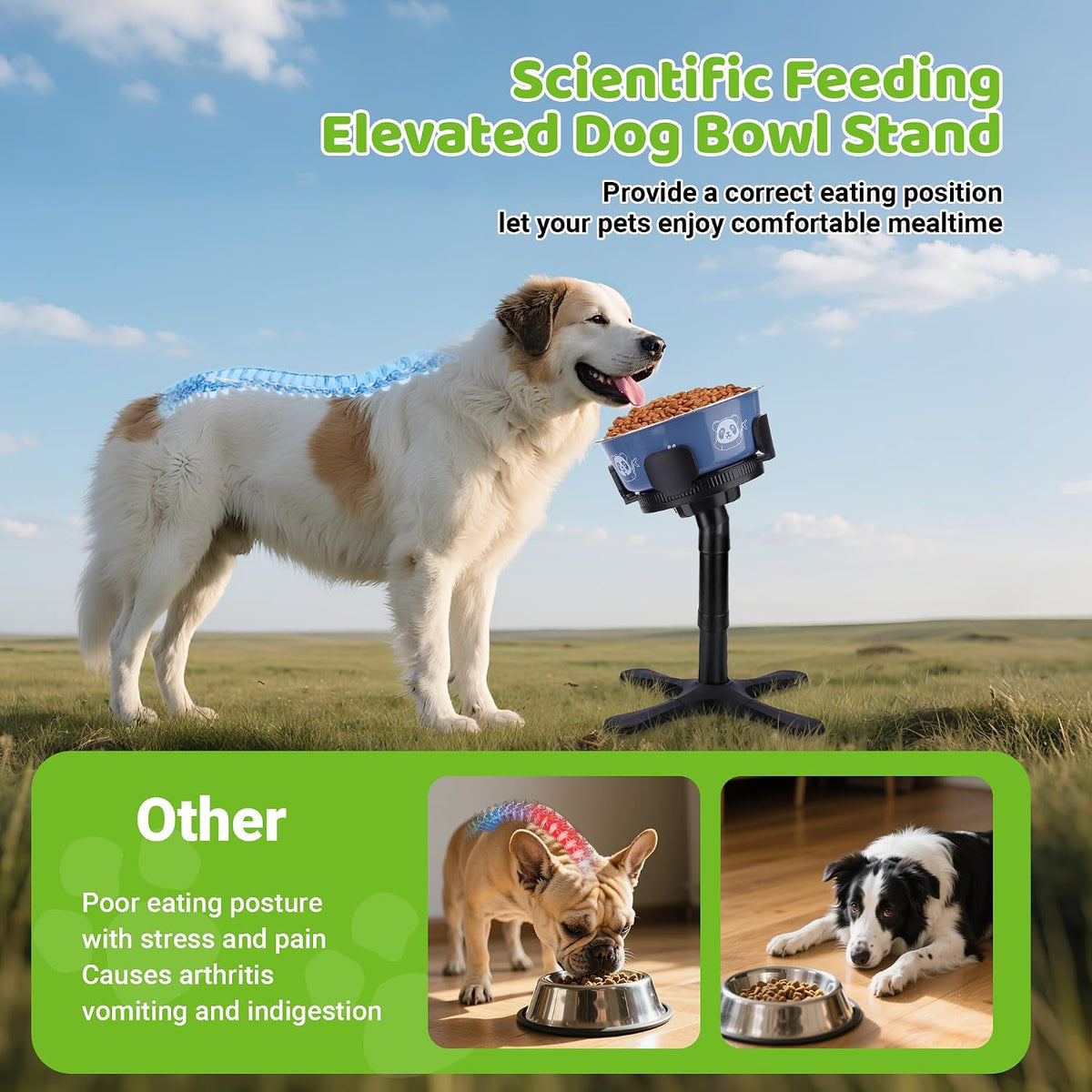 Dog Bowls Elevated Adjustable Stand - Dog Bowl Stand 1 Pack - image 3