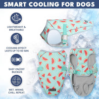Spark Paws Dog Cooling Vest, Evaporative Summer Cooling - Watermelon / Large - image 4