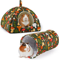 Bienbee Guinea Pig Hideout - Green Mushroom / Large(9.4"L x 9.4"W x 7.9"H)