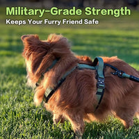 CLEPAWS Dog Harness for Small Dogs, No Pull Dog Harness Easy Walk with Metal Hardware, Ergonomic Y-Shaped Design, Soft Padding, Padded Handle, Durable High-Tensile Nylon (Evergreen, S)