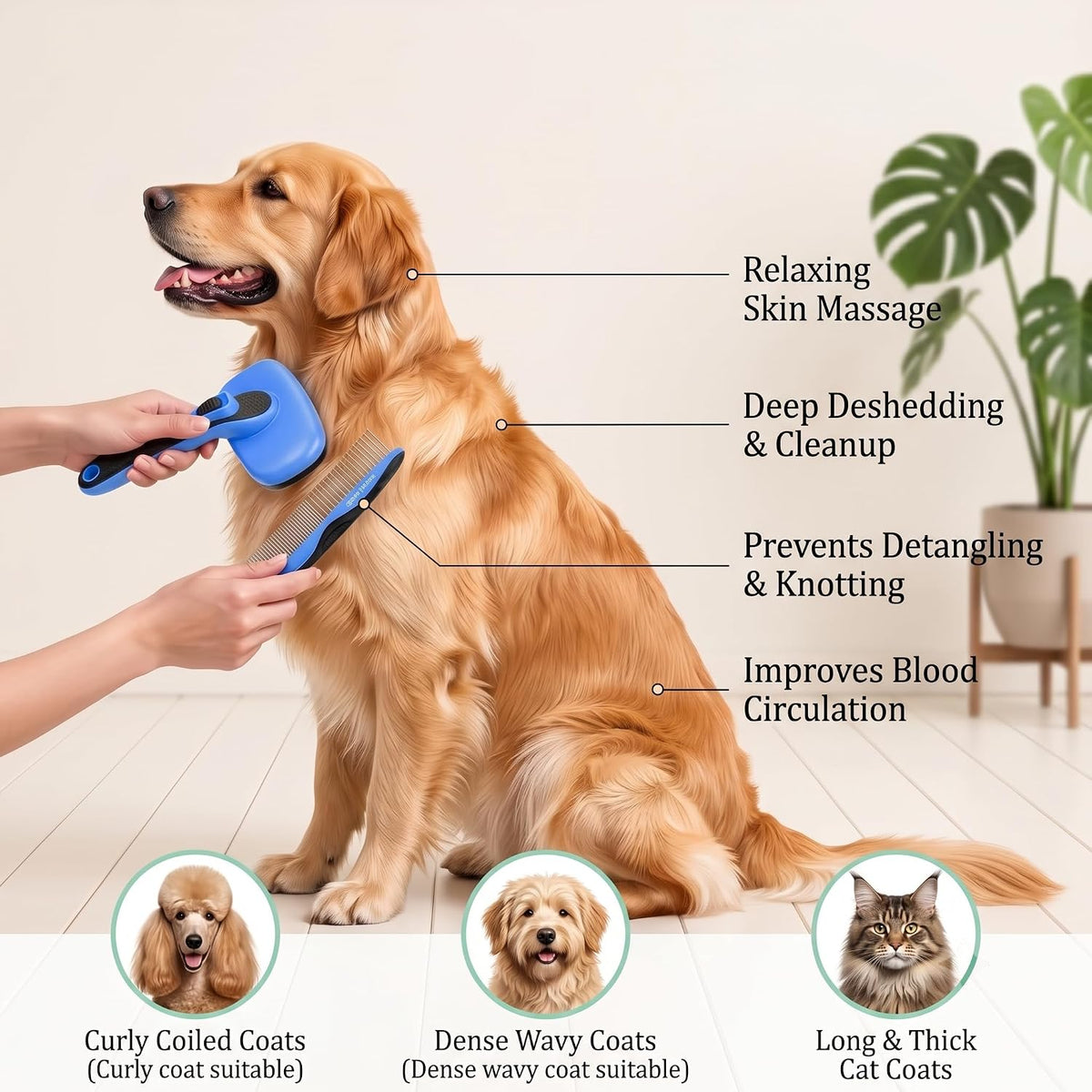 5 PCS Pet Grooming Kit, Dog Brush & Dematting Rake for Long Hair – Essentials for Cats - Blue 5pc - image 4