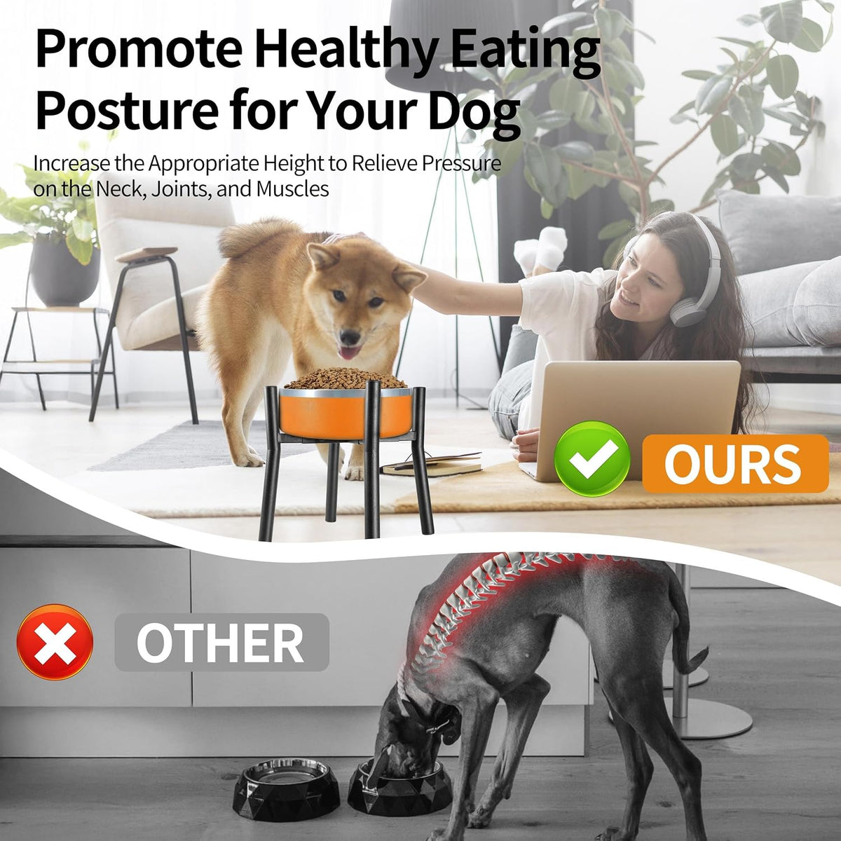PROERR Lifted Dog Bowl Stand, Without Bowls - Large-HIGH-12IN - image 4