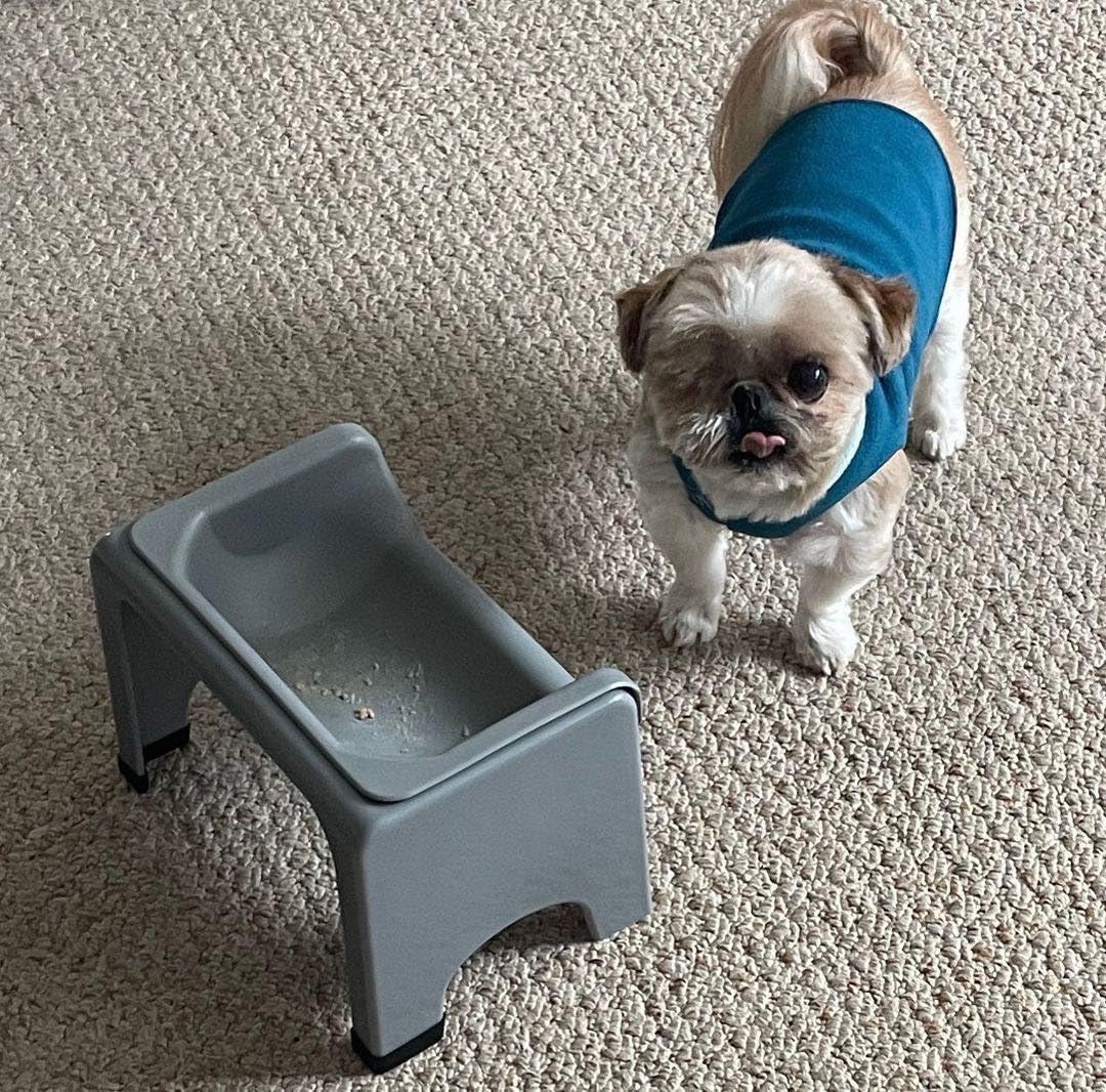 Fluff Trough Elevated Dog Bowl for Food - Small to Medium / Gray - image 4