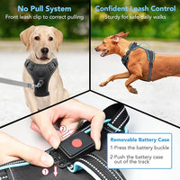LED Dog Harness, No Pull, Light Up, Rechargeable, Blue, Large