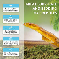 8 OZ Natural Sphagnum Moss for Reptiles - 10QT(8oz) - image 3