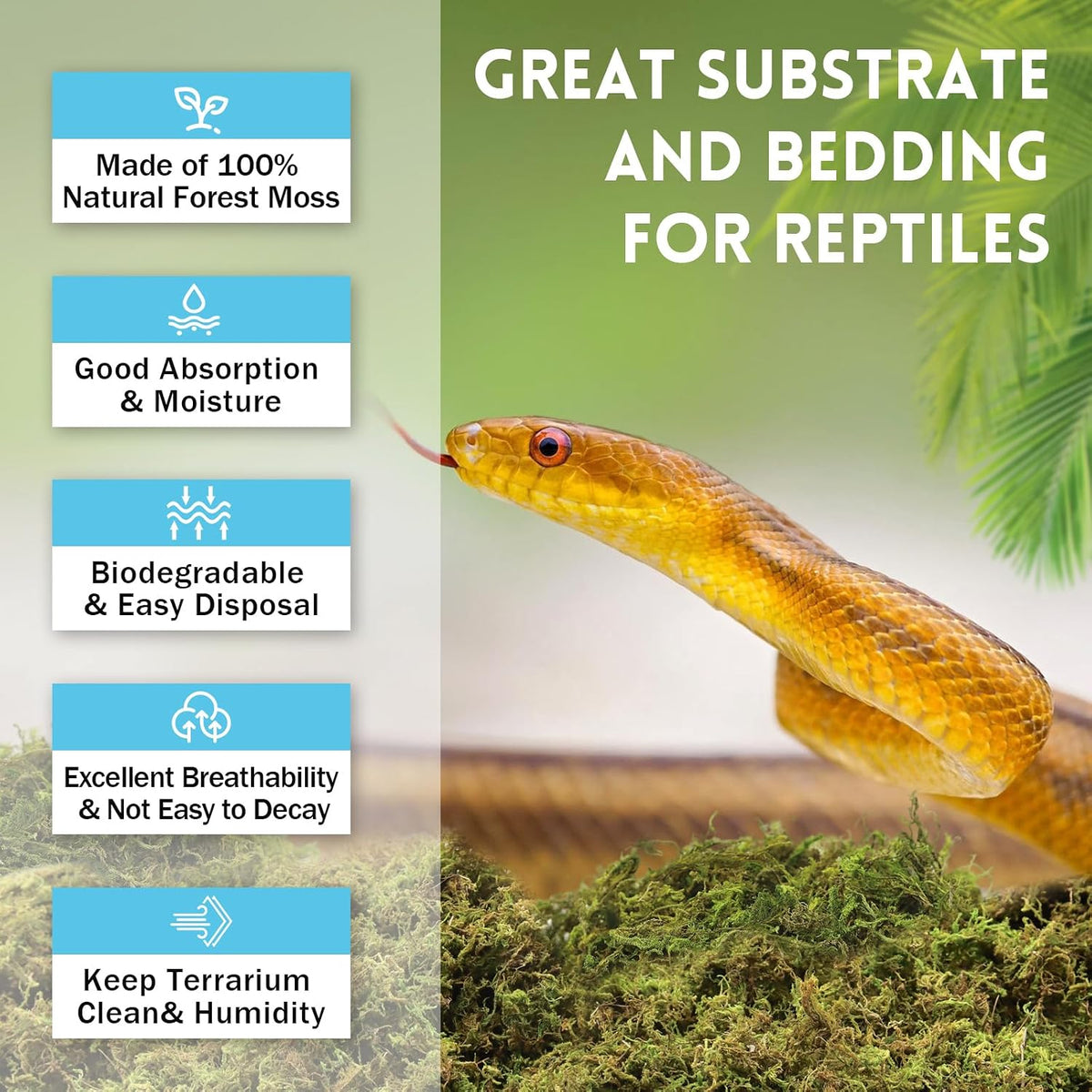 8 OZ Natural Sphagnum Moss for Reptiles - 10QT(8oz) - image 3