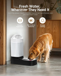 Automatic Dog Water Bowl Dispenser - D2416B-1 - image 3