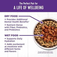 Wellness Complete Health Cubed Adult Wet Cat Food, Natural, Protein-Rich, Grain Free, 5.5 Ounce, 24 Pack, (Turkey Entrée)