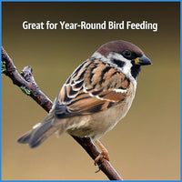Pennington Select Chips & Bits Wild Bird Seed for Outside Feeders, High-Protein, No-Hull & No-Waste, Sunflower Chips & Peanut Bits Attract Songbirds,15-lb. Bag