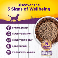 Wellness Complete Health Natural Wet Canned Dog Food, Chicken & Sweet Potato, 12.5-Ounce Can (Pack of 12)