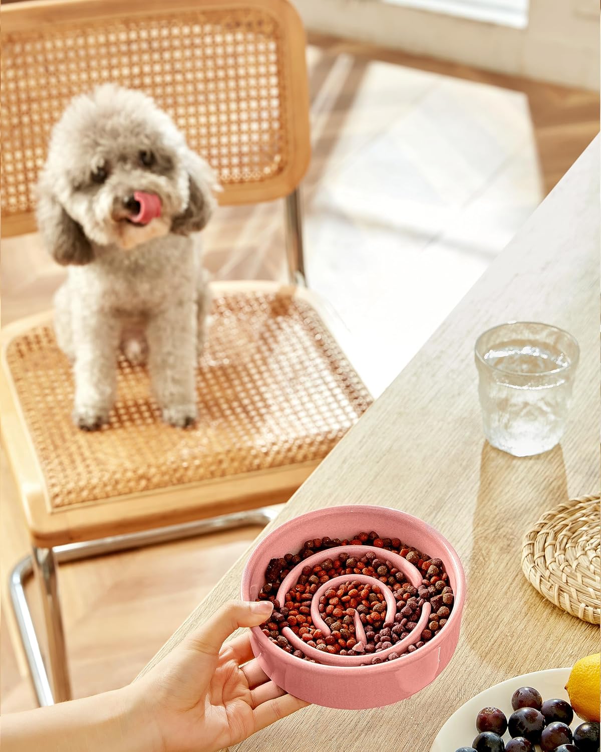 Ceramic Slow Feeder Dog Bowls - Pink / 6 Inches - image 2
