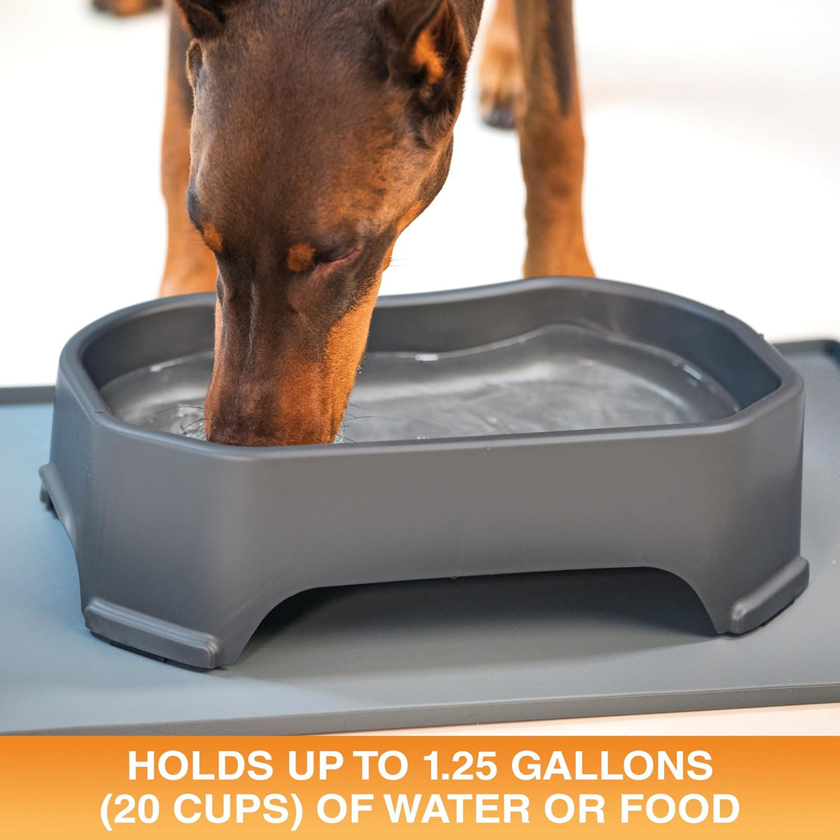 Neater Pet Brands Extra Large Water Bowl for Dogs - 1.25 Gallons / Gunmetal Grey - image 2