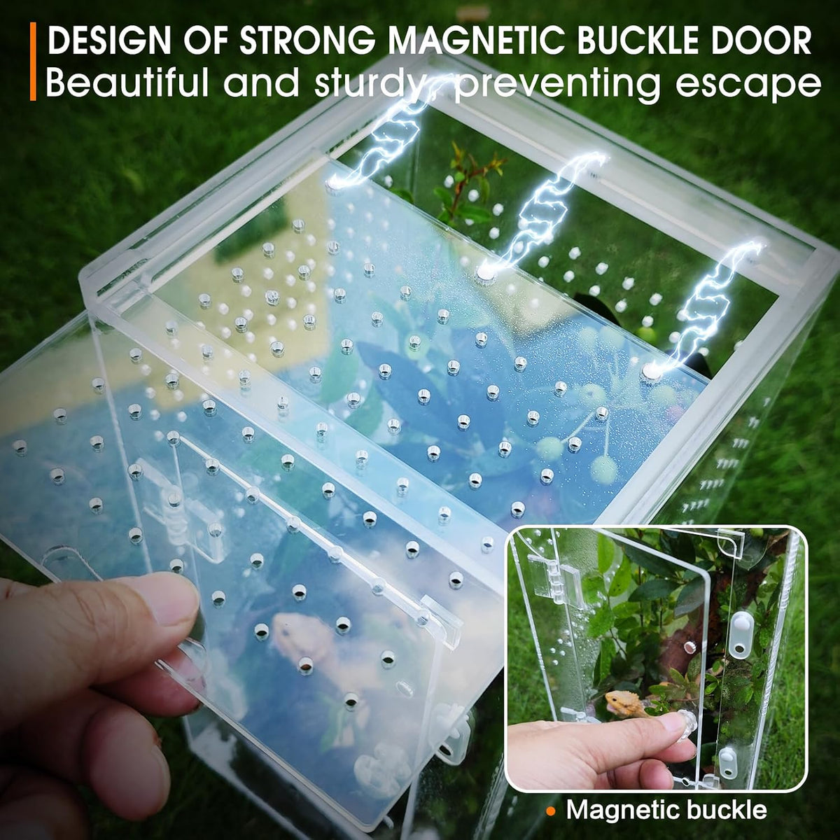 MYGIIKAKA Jumping Spider Enclosure Accessories - 6x6x12 inch - image 4