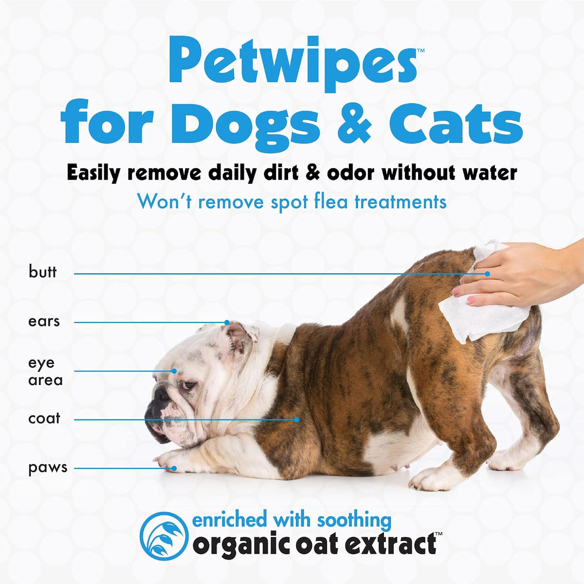 Petkin Big N' Thick Petwipes – Essentials for Dogs - 2 - image 3
