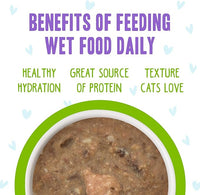 Weruva B.F.F. OMG - Best Feline Friend Oh My Gravy!, Selfie Cam! with Chicken & Lamb in Gravy Cat Food, 2.8oz Can (Pack of 12)