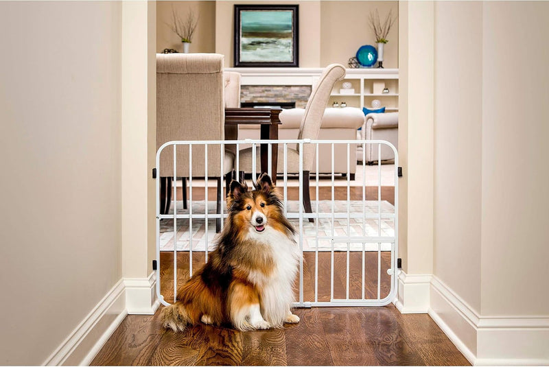 Carlson Pet Products Tuffy Metal Expandable Pet Gate - 24" Tall, 22-38" Wide