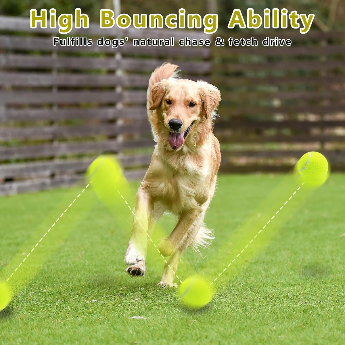 Magicorange Dog Tennis Balls - Multi-colored / 6 Pack - image 2
