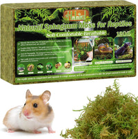 9 OZ Sphagnum Moss for Reptiles, Green Terrarium Moss - 12OZ