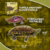 Genius Games shark anatomy floor puzzle showing a great white shark and its anatomy - view 24