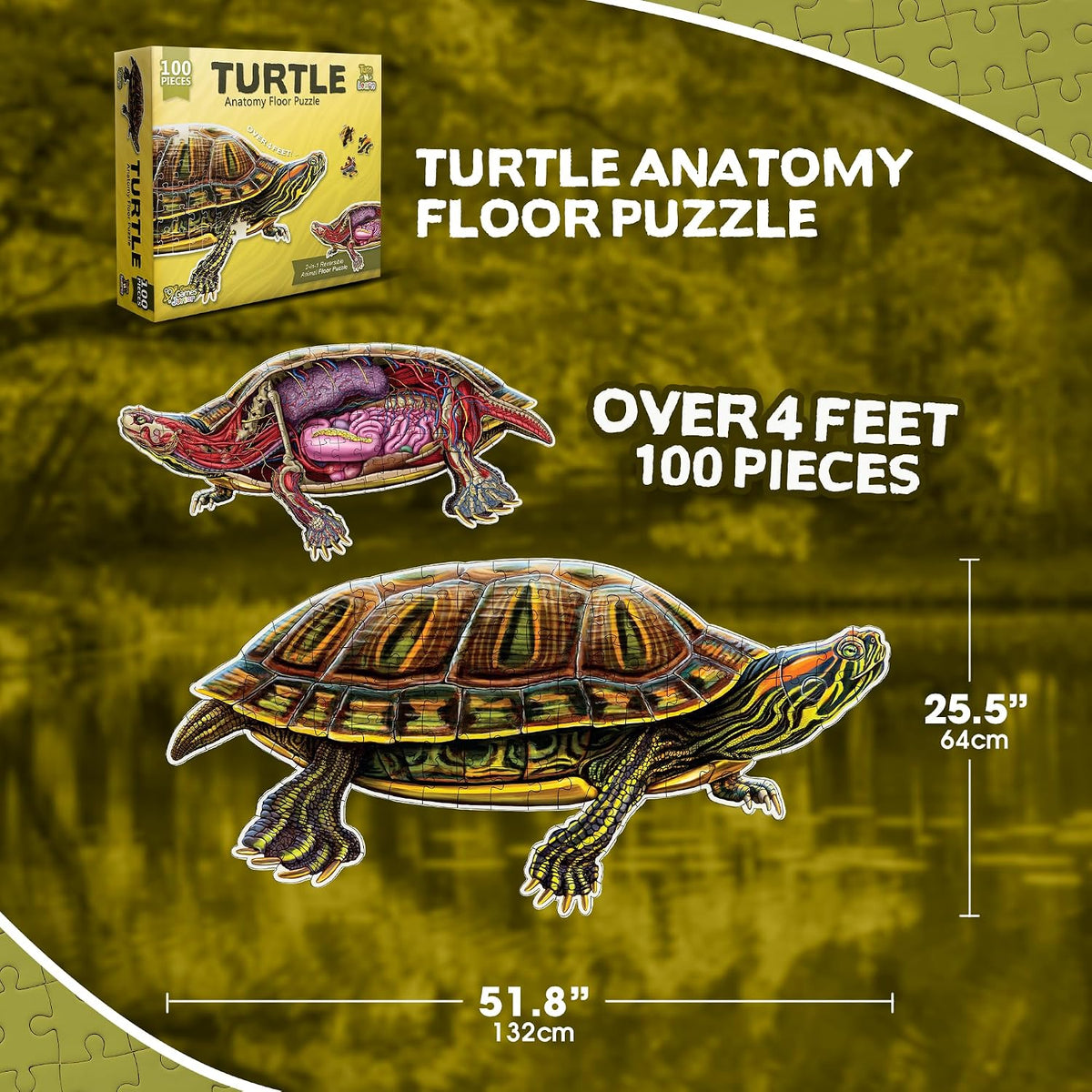 Genius Games shark anatomy floor puzzle showing a great white shark and its anatomy - view 24