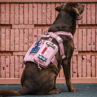 OneTigris Service Dog Vest Harness - M / Pink - image 2