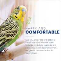 Prevue Pet Products Rope Ladder Bird Toy Hanging Birdcage Toy - Small to Medium - image 2