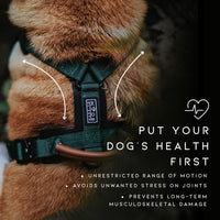 MADE TO ROAM Premium Explorer Harness - Michigan Autumn / Size 4 - image 4