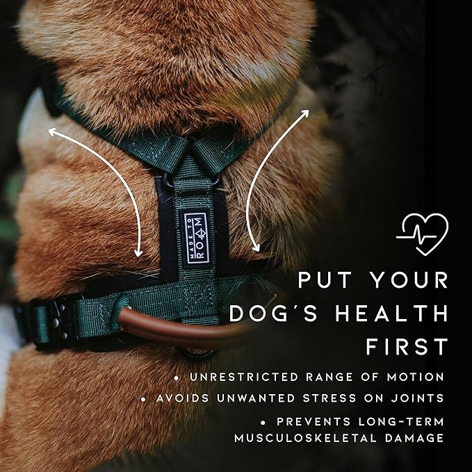 MADE TO ROAM Premium Explorer Harness - Y-Shaped Dog Harness with Adjustable Durable Nylon, Soft Padding, Metal Buckles and Leather Handle for Small, Medium, Large Dogs (Texas Flair, Size 5)