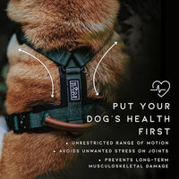 MADE TO ROAM Premium Explorer Harness - Y-Shaped Dog Harness with Adjustable Durable Nylon, Soft Padding, Metal Buckles and Leather Handle for Small, Medium, Large Dogs (Utah Glow, Size 1)